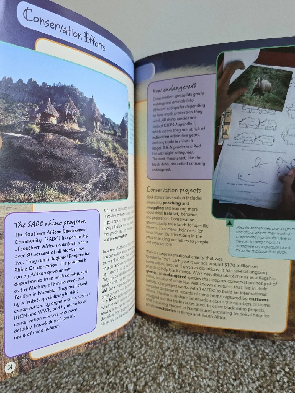 Children's Animal Book Set Dangerous Animals, Elephants, Bears, Giraffes, Rhinos